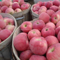 Köstlicher frischer Frucht-roter Stern-Apfel